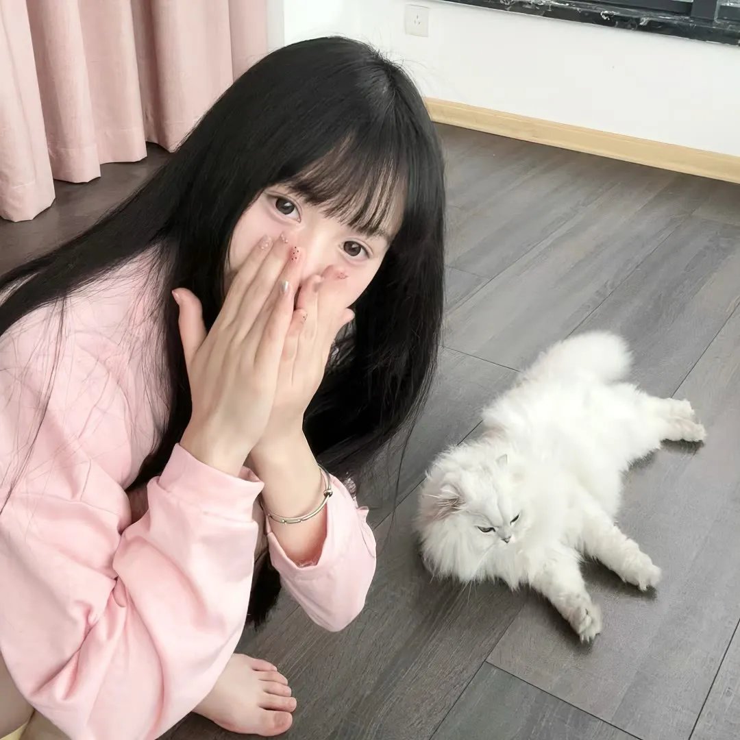 冰上迪斯科